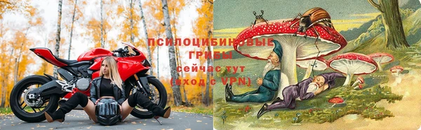 прущий лед Алексеевка