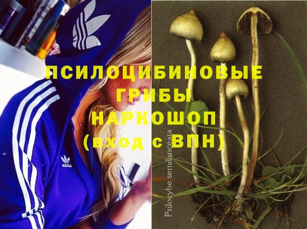 кокаин Алексин