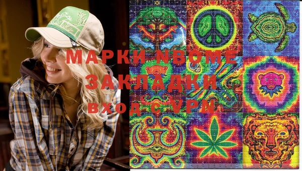 мдпв Алзамай